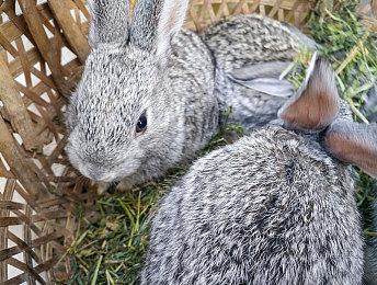 KK火爆新图《弓手大作战》上线！多种技能流派，开启超爽英雄进化！